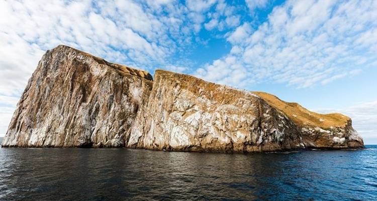 Kicker Rock Snorkel Day Trip from San Cristobal Island in Galapagos - Nature Galapagos & Ecuador 7