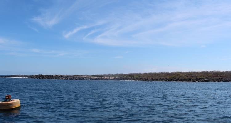 North Seymour Day Trip Galapagos: Snorkeling & Hiking Trip - Nature Galapagos & Ecuador 7