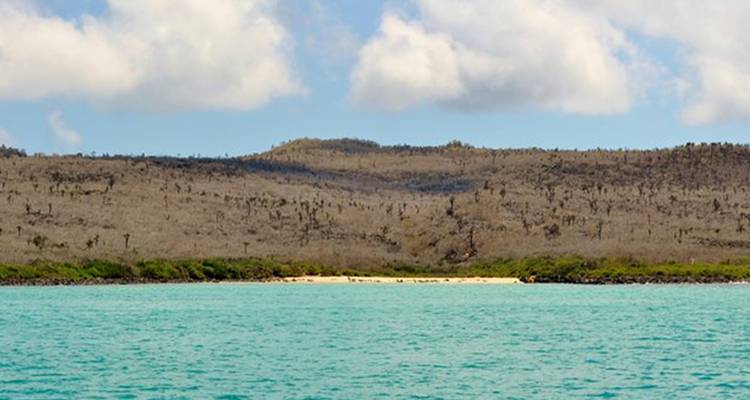 Circuito de un día de esnórquel en Santa Fe Galápagos más Playa Escondida - Incluye Almuerzo - Nature Galapagos & Ecuador 4