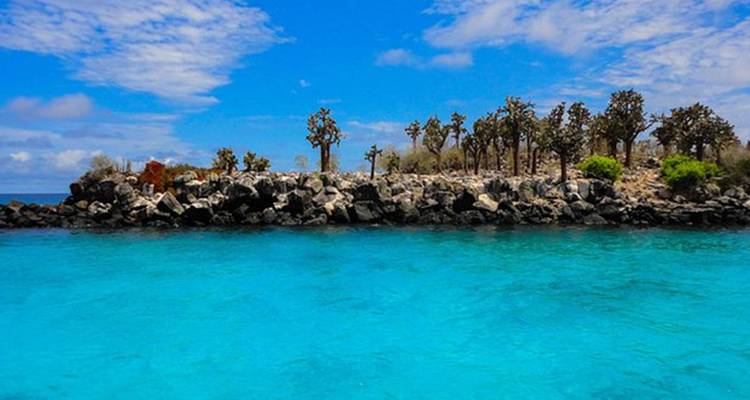Circuito de un día de esnórquel en Santa Fe Galápagos más Playa Escondida - Incluye Almuerzo - Nature Galapagos & Ecuador 6