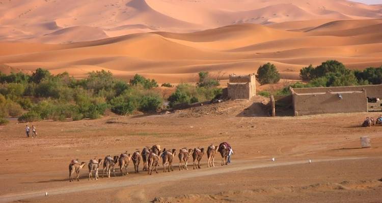 Marrakech à Fes 3 jours d'excursion au Sahara via le désert de Merzouga - Desert Family Tour 8