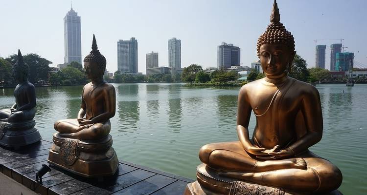 Classical Sri Lanka (Classic) - Insight Vacations 3