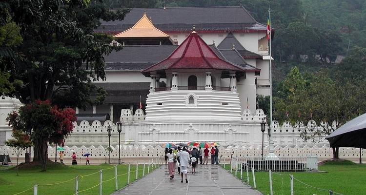 Classical Sri Lanka (Classic) - Insight Vacations 8