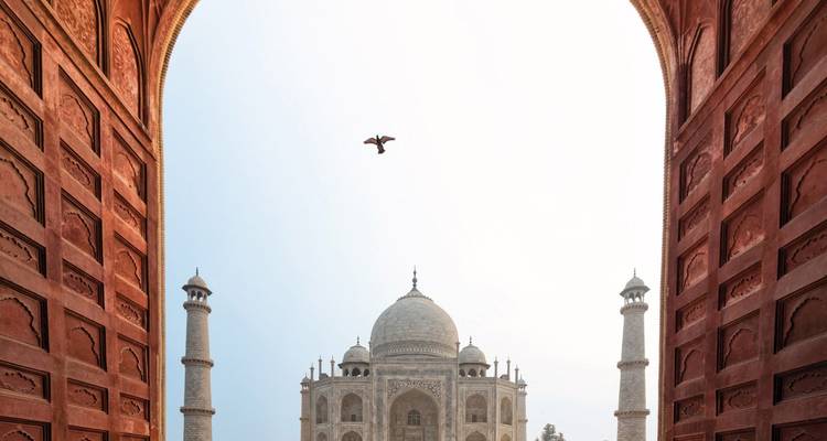 Taj Mahal framed by an ornate archway with a bird flying in the sky.
