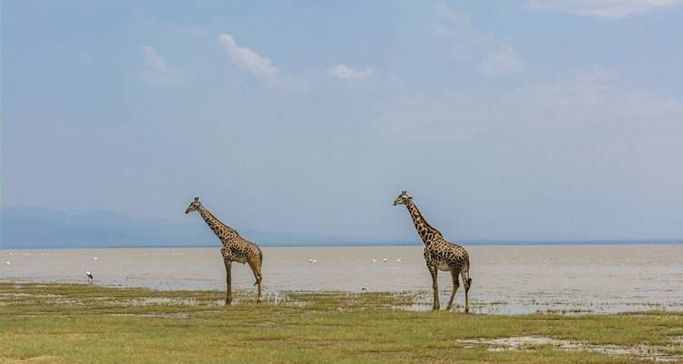 10 jours du Kenya à la Tanzanie - Moyenne gamme - Muraa African Safaris 3