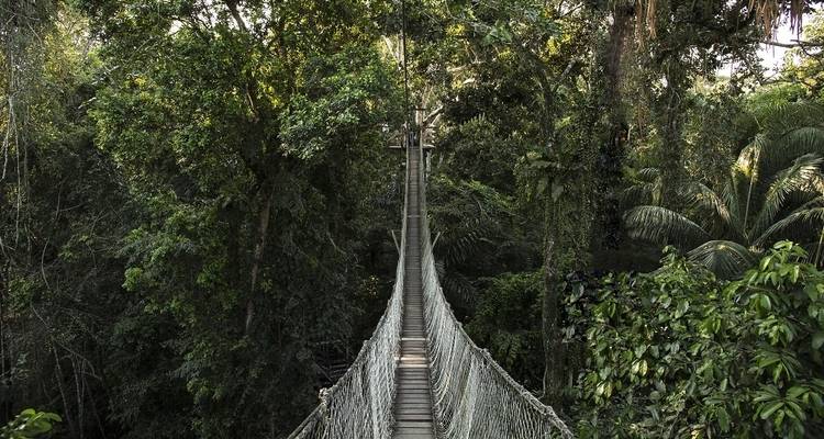 Expérience dans la Reserva Amazónica - sur demande - 3 jours - LimaTours 7