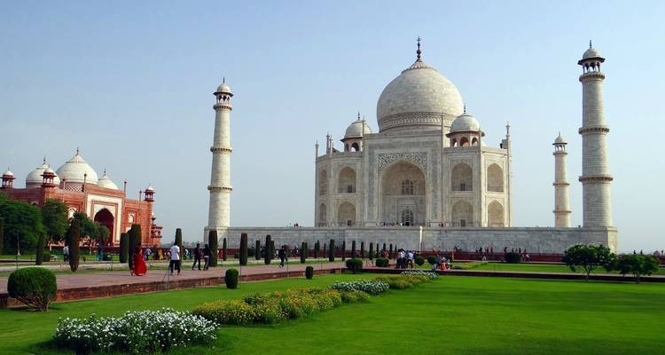 Safari de tigres en la India con el Taj Mahal - Golden Triangle India Tours 1