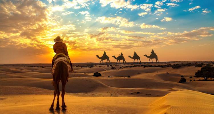 Camel ride at sunset in the desert.