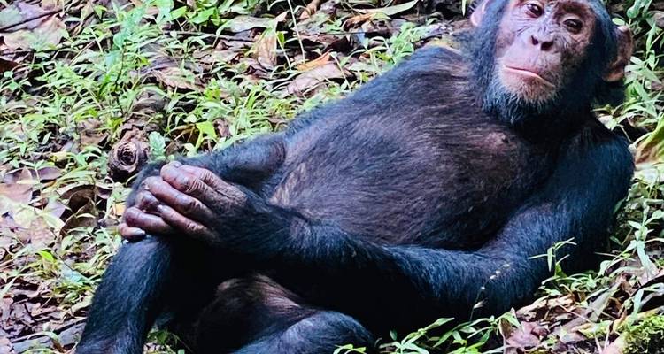 Excursión económica de 8 días al PN del Valle de Kidepo y al PN de las cataratas Murchison - Safari 2 Gorilla Tours (U) Ltd 2