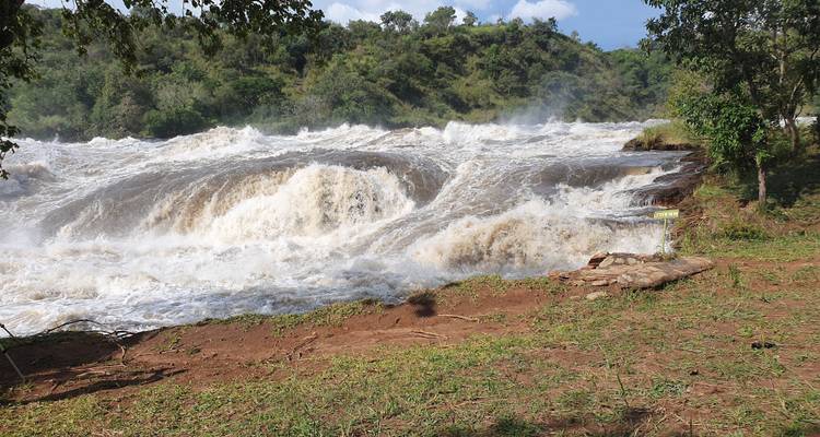 Excursión económica de 8 días al PN del Valle de Kidepo y al PN de las cataratas Murchison - Safari 2 Gorilla Tours (U) Ltd 6