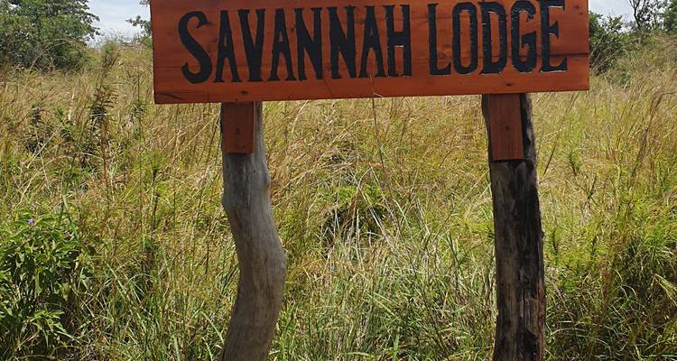 Excursión económica de 8 días al PN del Valle de Kidepo y al PN de las cataratas Murchison - Safari 2 Gorilla Tours (U) Ltd 4