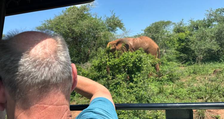Excursión económica de 8 días al PN del Valle de Kidepo y al PN de las cataratas Murchison - Safari 2 Gorilla Tours (U) Ltd 8