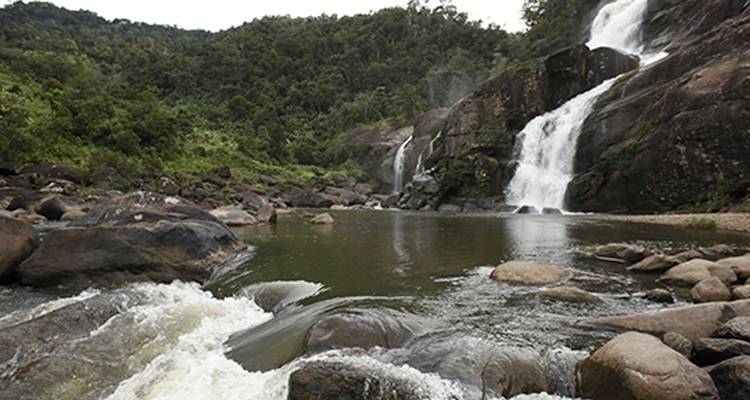 Riqueza cultural y natural de Madagascar - Bio D Island LLC 3