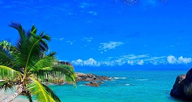 Mer, soleil et tourisme à Madagascar - 14 jours - Bio D Island LLC 1