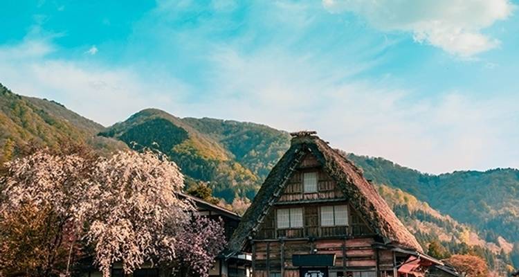 Great Trail of Japan - MW Tours 3