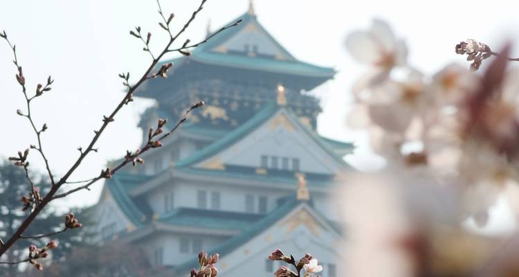 Great Trail of Japan - MW Tours 7