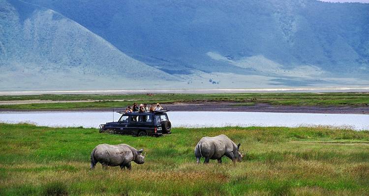 Excursion d'une journée dans la zone de conservation du cratère du Ngorongoro - Safari Serengeti Booking 6