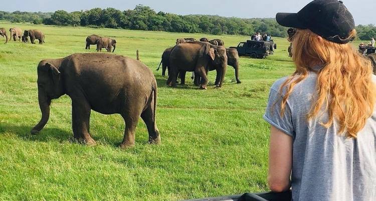 circuits de plusieurs jours au sri lanka 5 jours avec chauffeur privé, véhicule et hébergement H/B - Lanka Safe Tours 8