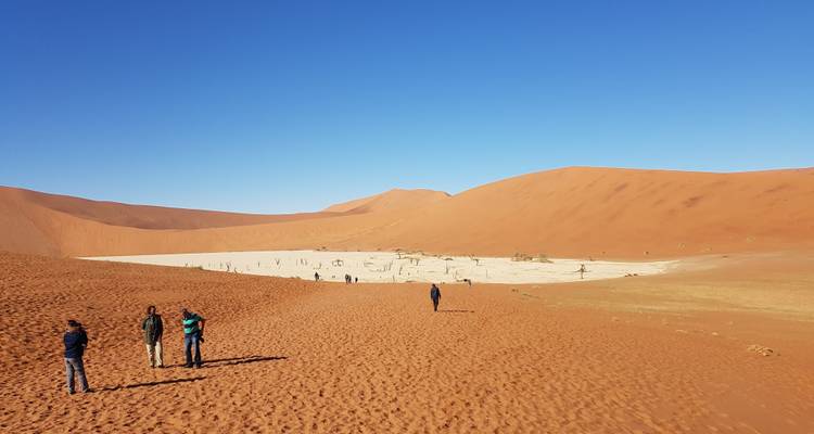 3 Days Sossusvlei Amazing Red Dunes | Private Guided Lodge - Motema Tours and Safaris 6