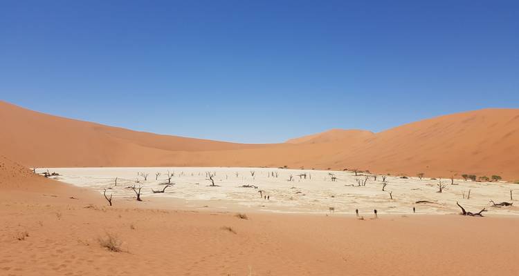 3 Days Sossusvlei Amazing Red Dunes | Private Guided Lodge - Motema Tours and Safaris 4