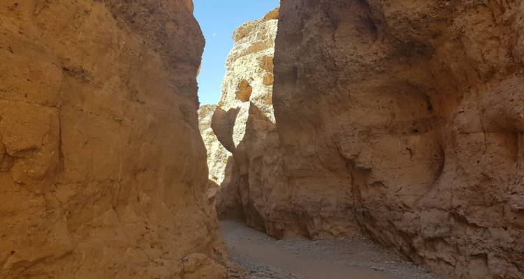3 Days Sossusvlei Amazing Red Dunes | Private Guided Lodge - Motema Tours and Safaris 7