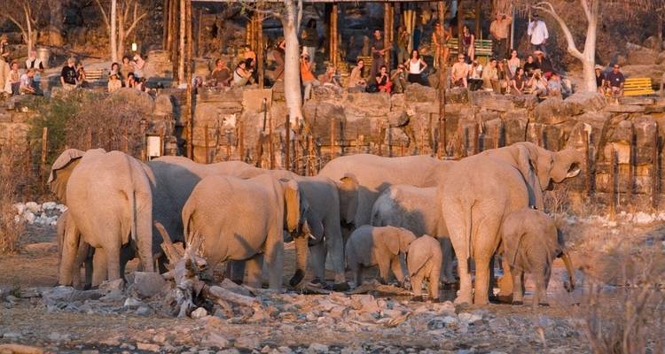 3 Days Etosha National Park | Private Guided Camping - Motema Tours and Safaris 2
