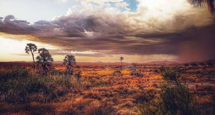 10 Days Beauty of Namibia | Private Guided Lodge - Motema Tours and Safaris 9