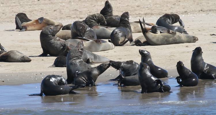 10 Days Beauty of Namibia | Private Guided Lodge - Motema Tours and Safaris 2