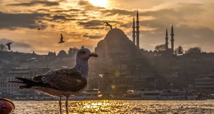 La Turquie explorée - Intrepid Travel 7