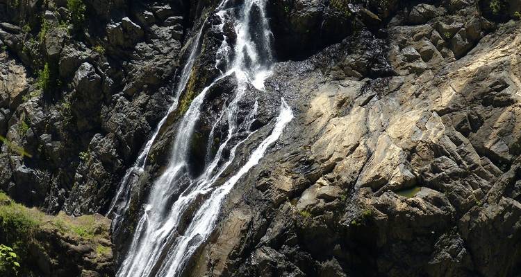 Explorador del Daintree en Queensland - Intrepid Travel 10