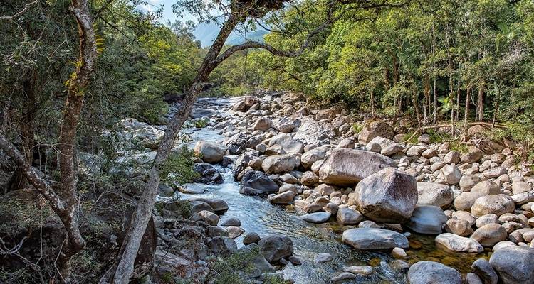 Explorador del Daintree en Queensland - Intrepid Travel 2