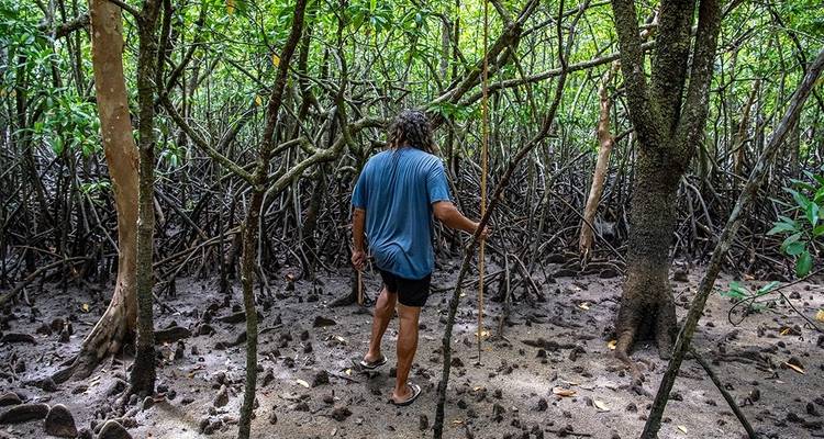 Explorador del Daintree en Queensland - Intrepid Travel 3
