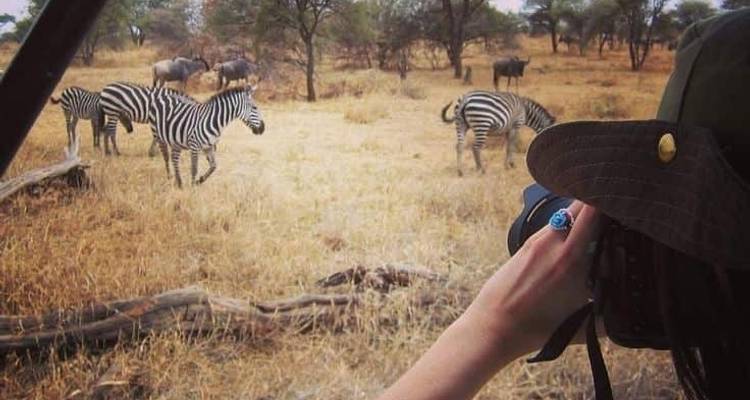 8 noches Cabo Kruger y Jo'burg - Bantu Safaris 4