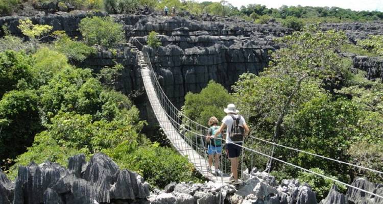 The Vanilla of Madagascar - Green Island Discovery 7