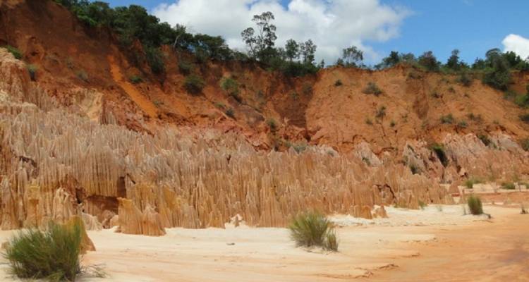 The Vanilla of Madagascar - Green Island Discovery 9