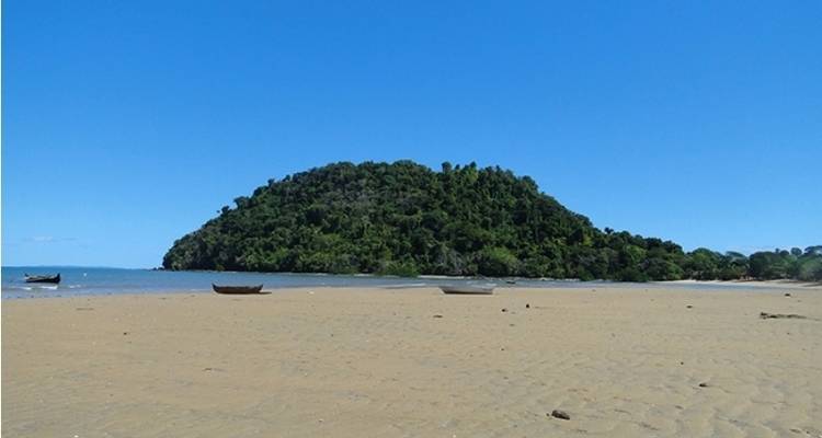 The Vanilla of Madagascar - Green Island Discovery 1