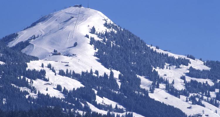 Pic de montagne enneigé parsemé de sapins à feuillage persistant sous un ciel bleu dégagé.