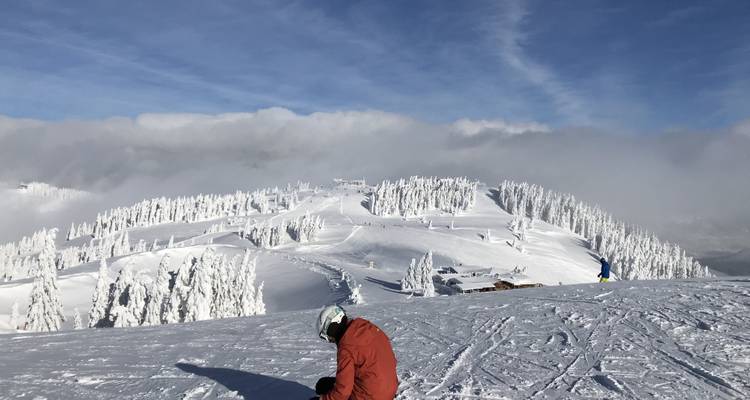 Pente alpine couverte de neige avec des arbres givrés et un skieur solitaire ajustant son équipement sous un ciel bleu éclatant.