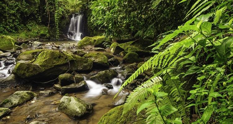 Lo mejor de México y Costa Rica (36 destinations) - Intrepid Travel 10