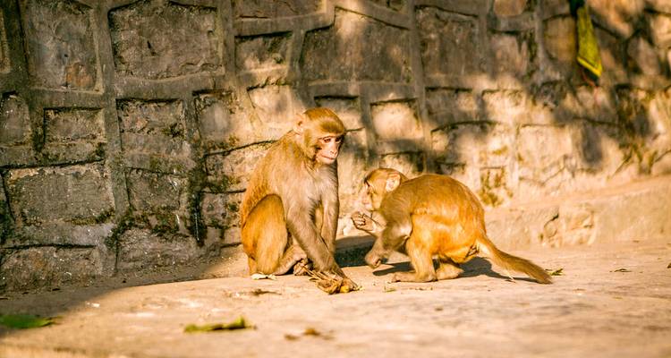 Tailor-Made Best Kathmandu Tour, Daily Depart & Private Guide - Agate Travel 9