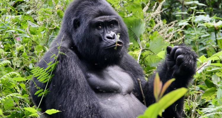 Perla de África - AfriVenture 4