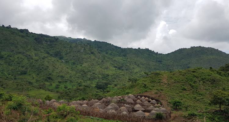Gorilas, chimpancés y safaris - AfriVenture 5