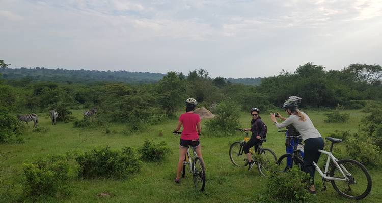 Gorilas, chimpancés y safaris - AfriVenture 9