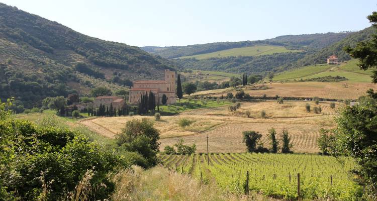 Sienne et le vin - Tuscan Escapes 6