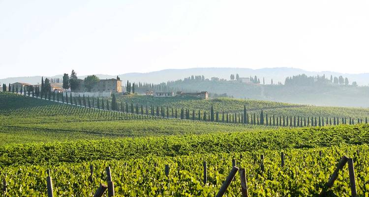 Sienne et le vin - Tuscan Escapes 9