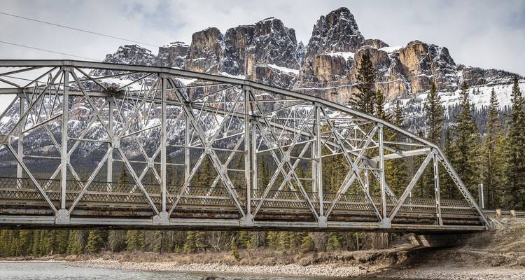 Wapiti - Découvrez la beauté de l'Ouest canadien - Moose Travel Network 6