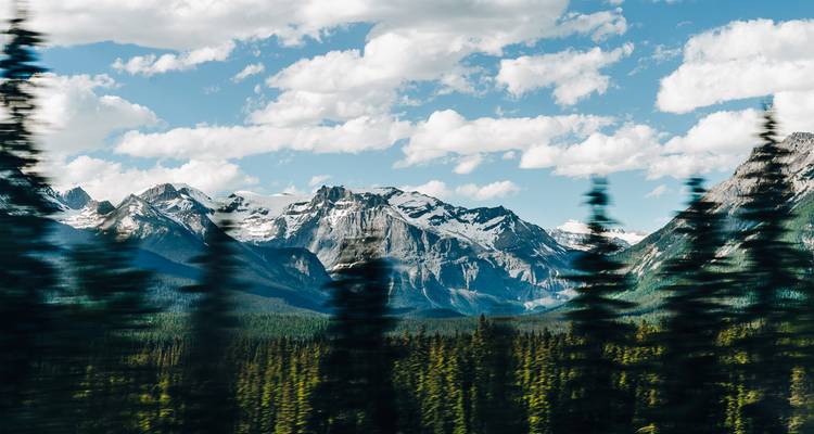 Wapiti - Découvrez la beauté de l'Ouest canadien - Moose Travel Network 8