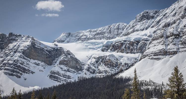 Wapiti - Découvrez la beauté de l'Ouest canadien - Moose Travel Network 4
