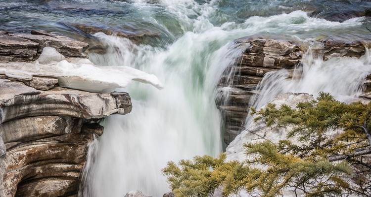 Athabasca - Lagos Moraine, Louise y Peyto - Moose Travel Network 8