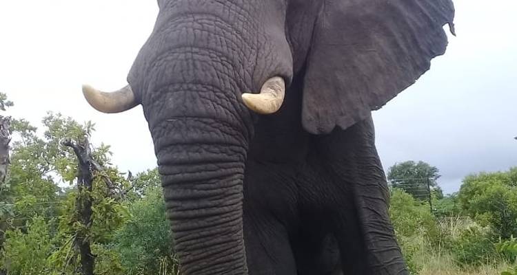 Afrique australe, de Johannesburg au Cap - 20 jours - Timeline Travel DMC 3